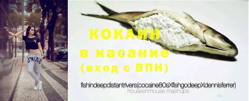 Кокаин Fish Scale  закладки  Бодайбо 